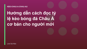 Read more about the article Hướng dẫn cách đọc tỷ lệ kèo bóng đá Châu Á cơ bản cho người mới